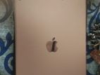 Apple iPad