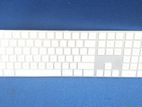 Apple - the magic Keyboard & Mouse