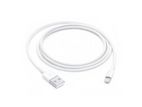 Apple USB To Lightning Cable (1m)