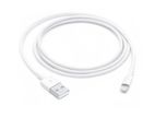 Apple USB To Lightning Cable