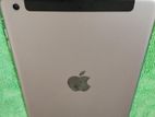 Apple iPad mini 2 1/16 4G (Used)