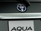 Aqua Rear door handle steel