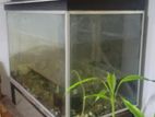 Aquarium Accompanied by A Stand