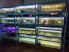 Aquarium Fish Tank Set