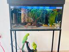 Aquarium Fish Tank with Metal Stand – 30" x 12" 14"