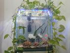 Aquarium Fish Tank with Stand Filter