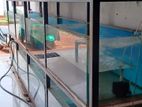 Aquarium Fish Tansks