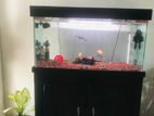 Aquarium Tank Full Set