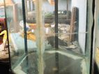Aquarium