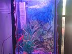 Aquarium for sale