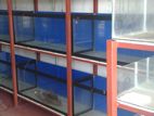 Fish Tanks Lot