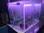 Aquarium Set