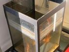 Aquarium Tank