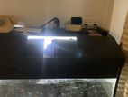 Aquarium Tank