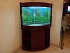 Aquarium Tank with Stand