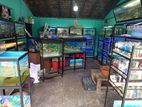 Aquarium Tanks,fish,stands,filters & Lights Accessories