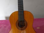 Acoustic Guitar