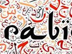 Arabic Language & Grammar