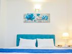 Araliya Court - 03 BR Furnished Apartment Rent (NAS334)