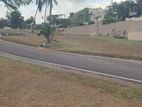 Arangala Residential Land for Sale in Junction