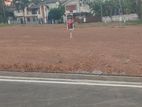 Arangala town LAND for sale