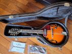 Aria AM-20 E Electric Acoustic Mandolin With Hardcase