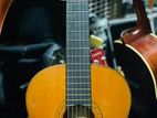 Aria Concert Classical Guitar