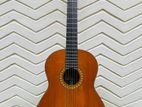 Aria Japan Classical Guitar