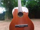 Aria Spain Classical Guitar