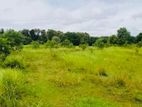 (ARN270) 10.5 Acre Land Sale at Attanayake Mw Attiyawela Dankotuwa