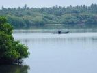 (ARN292) 160 P Prime Land Facing Lagoon on Tangalle Rekawa Road