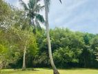 (ARN292) 160P Prime Land for Sale Facing Lagoon on Tangalle Rekawa Road