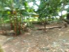 (ARN299) 10P Land Sale at Nilammahara Road Maharagama