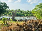 (ARN355) Water Front 41 P Land Sale At Kamathawatha Road Rajagiriya