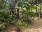 (ARN570) Bare Land of 7 Perches for Sale in Maharagama