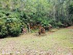 (ARN627) 21 Acre Sale At Kithulgala