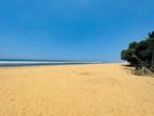 (ARN90) Beach Facing 02 Acre LAND SALE AT Kaluthara
