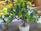 Artificial Bonzai Tree