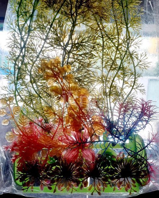 Artificial Fish Tank Plants in Kandana ikman