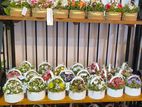 Artificial Flower Arrangements