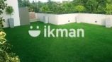 Artificial Grass Carpet