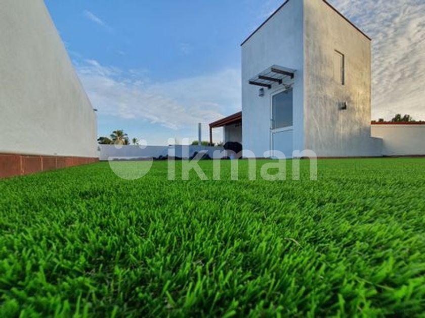 Artificial Grass Carpet for Sale Colombo 2 ikman