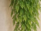 Artificial Persian Fern Vine