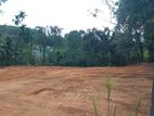 Artigala Valuable Land for Sale