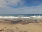 ARUGAM BAY : 46 ACRES BEACH FRONT LAND FOR SALE