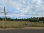 Arugambay - Land for sale