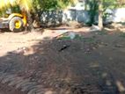 Arukgoda Land for Sale