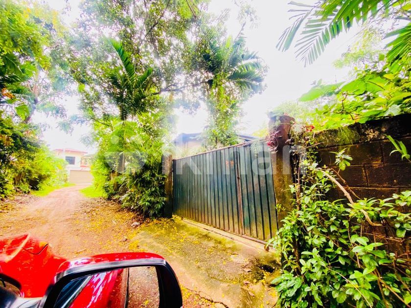 (as 134) 15 P Land with Old House Sale at Jambugasmulla Road Nugegoda
