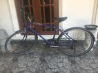 Asahi Japan Bicycle