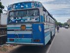 Ashok Leyland Viking 2010